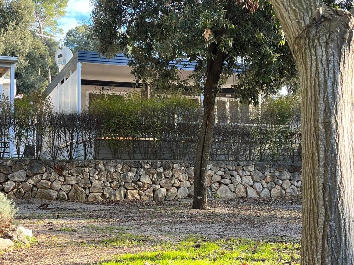 Camping Estrada Mobile