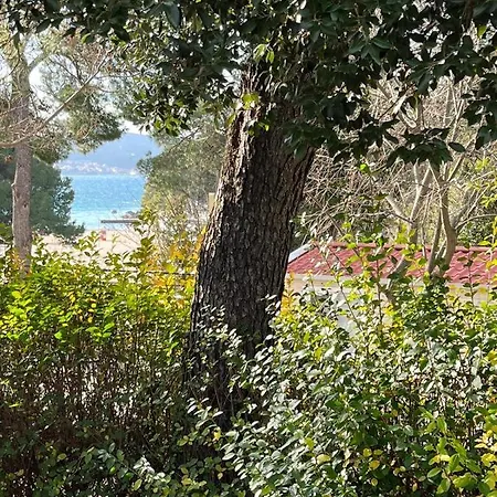Estrada Mobile Home Biograd Na Moru Exterior photo